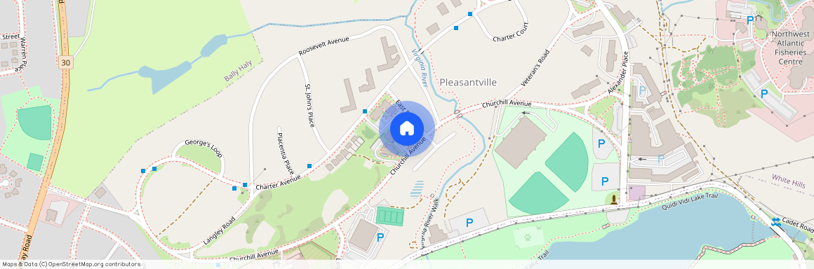 66 Churchill Avenue, St. John's A1A0L8