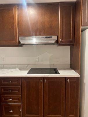 For Lease - 9 Cedarsprings Way Unit# Bsmt, Brampton, Ontario - Photo 1