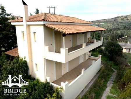 Μονοκατοικία για ενοικίαση Αλαμάννος (Σαρωνικός) - Φωτογραφία 5