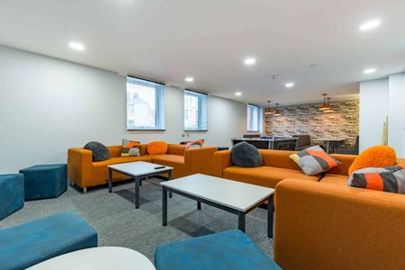 7 Bed Premium Studio - Photo 4