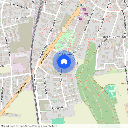 Cuno-Amiet-Strasse 21, 3360 Herzogenbuchsee