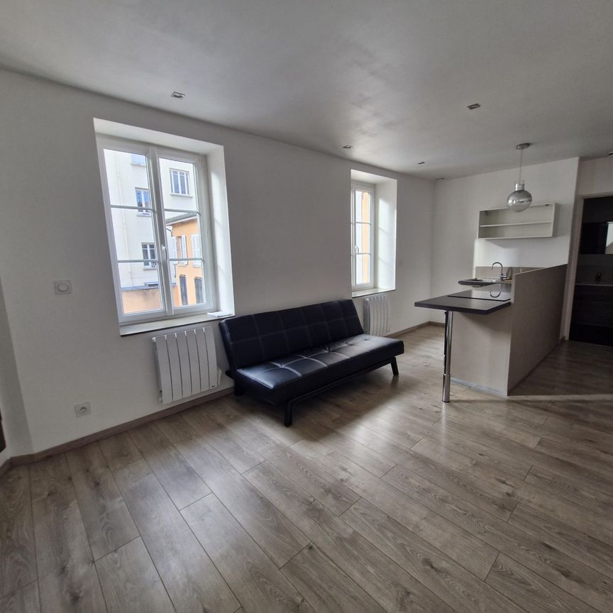 Location Appartement 1 pièce 27m² VIENNE 38200 - Photo 1