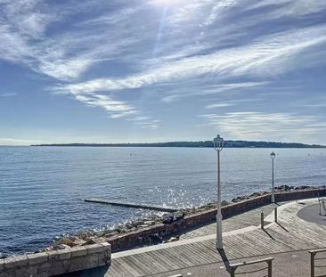 Villa de 6 chambres Cannes Mouré Rouge en front de mer - Photo 5