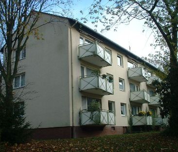 *** Modernisierte 2-Zi-Wohnung mit Balkon in begehrter Lage von Hol... - Foto 5