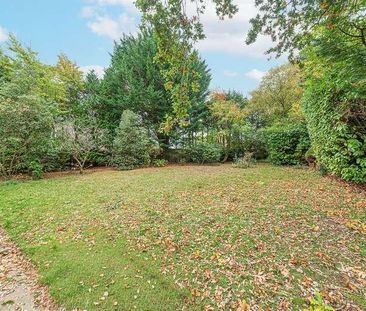 Glebelands Road, Wokingham, RG40 - Photo 5