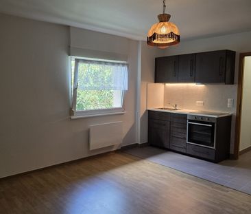 Location Appartement 1 pièce 29m² WISSEMBOURG 67160 - Photo 1