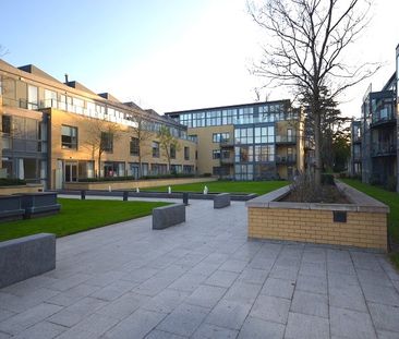 The Atrium, Roebuck Hill, Clonskeagh, Dublin 14 - Photo 4