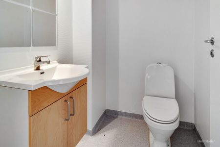 Attraktive lejeboliger i Fraugde, med plads til familien - Photo 5