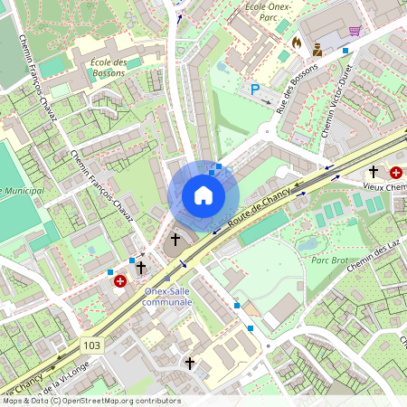 1213, Onex, Rue des Bossons, 4