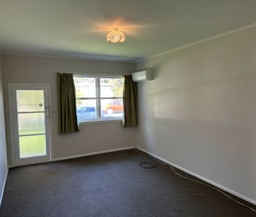 Spacious 1 Bedroom Unit - Photo 4