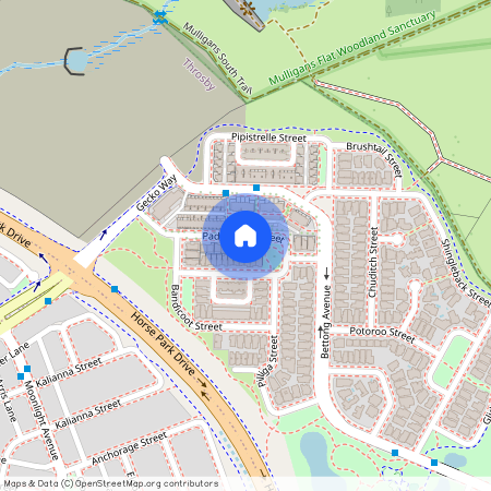 28 Pademelon Street, Throsby ACT 2914