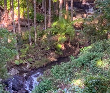 Eagle Heights Rainforest Retreat - Photo 4