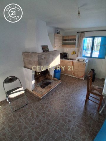 Μονοκατοικία για ενοικίαση Άνω Άμφεια (Θουρία) - Photo 2
