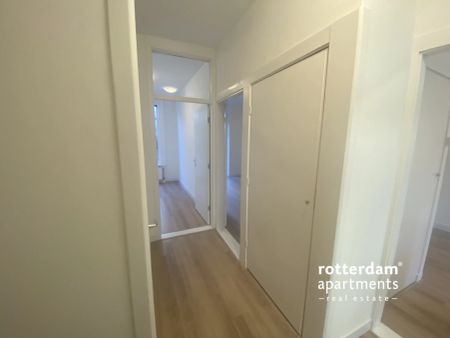 Schapenlaan, Rotterdam - Foto 4
