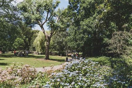 Studio Flat, Linden Mansions, N6 - Photo 2