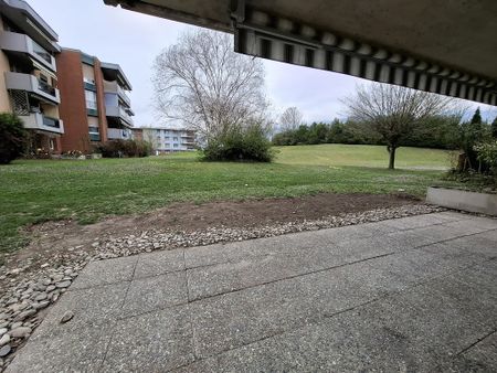 3.5 Zimmer, EG - Photo 4