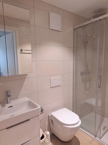 Möbliertes 1.5-Zimmer-Studio mit Terrasse in Fahrweid mieten. - Foto 4