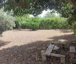 Διαμέρισμα για ενοικίαση - Αυλίδα, - Photo 2