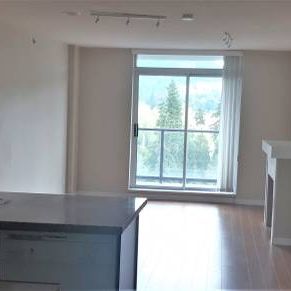 Pet Friendly! 2bdms, 2baths, 1den Hi-Rise near Coquitlam Centre - Photo 3