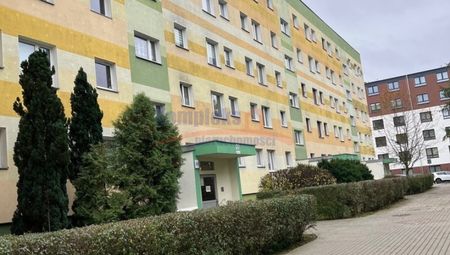 Gumieńce, ul. Hrubieszowska, Szczecin - Zdjęcie 3