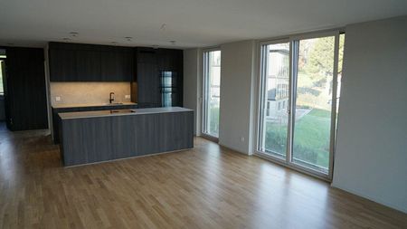 Erstvermietung exklusive Mietwohnungen - Foto 4