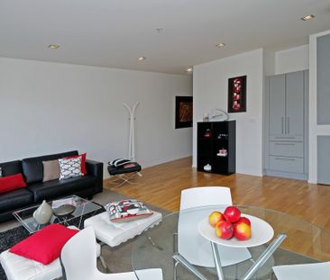 Hudson Brown - One Bedroom - Photo 4