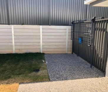 STUDIO LIVING PERFECT SINGLES OR COUPLES - Increasing to $370 Per w... - Photo 2