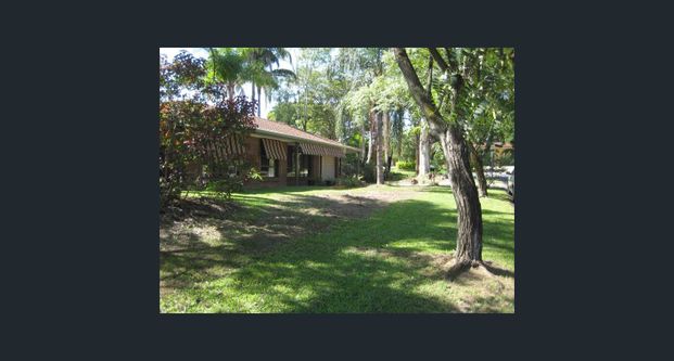 1 Wambaya Street, Belmont QLD 4153 - House For Rent | Domain - Photo 1