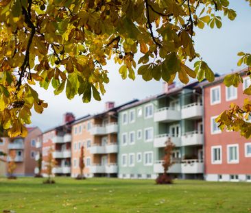 Harabergsg 18 - Foto 3