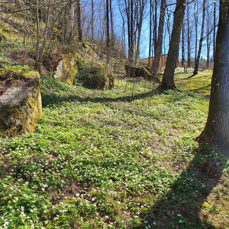 Liljebergsgatan 53 - Foto 4