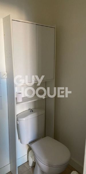 Studio Centre Ville Limoges Location 18m2 - Photo 2
