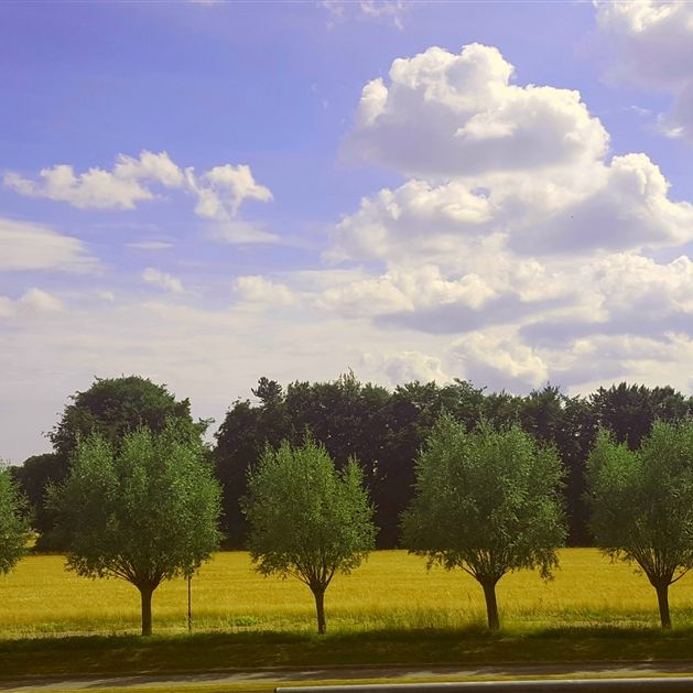 Sadelmakarebyn, Bunkeflostrand - Foto 1