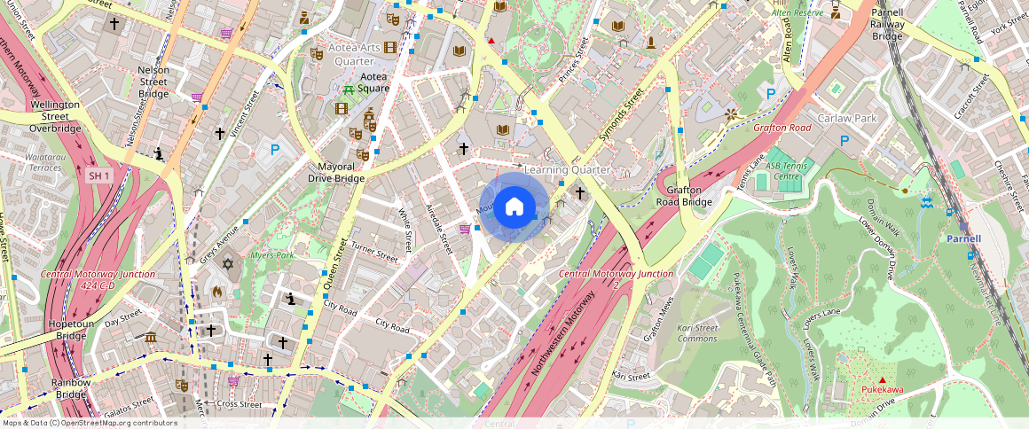 ** Mount Street, Grafton, Auckland City