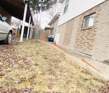 For Lease - 362 Hollyberry Trail Unit# Bsmt, Toronto, Ontario - Photo 4