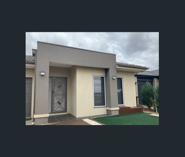 Light Filled Family Living in a Prime Tarneit Location! - Photo 3