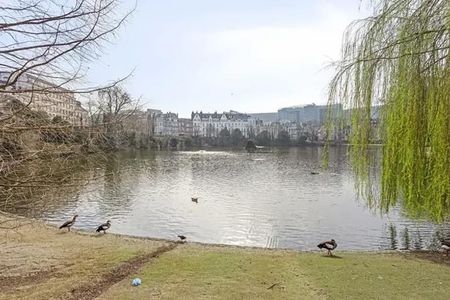 Appartement te huur - Photo 2