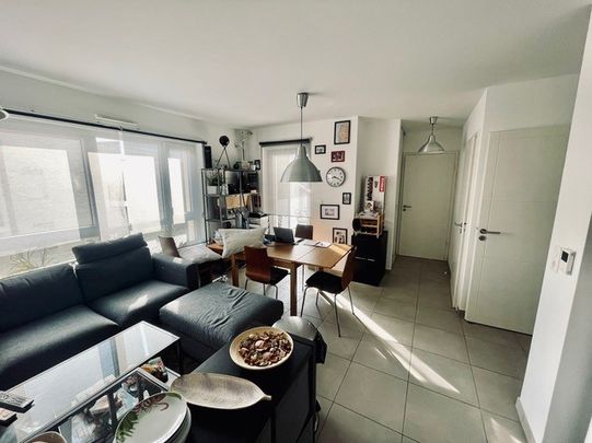 Location Appartement 2 pièces 45m² - Photo 1