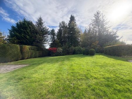 4 bedroom terraced house to rent - Photo 4