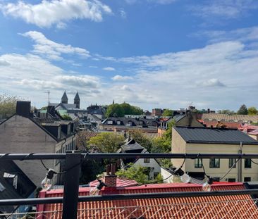 Agardhsgatan, Lund - Foto 2
