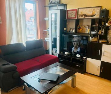 ich untermiete mein einzelnen Zimmerwohnung in Mannheim - Photo 1