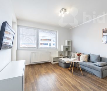 Pronájem bytu 1+kk a garsoniéry 30 m², Pod Zahrady 544, Přezletice - Photo 1