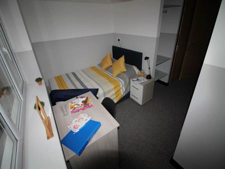 4 bedroom house share to rent - Photo 3