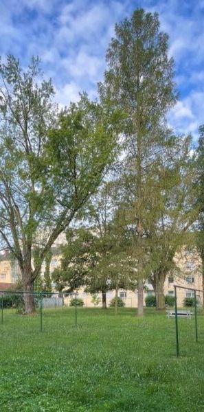 Gemütliche 3-Zimmer-Wohnung im Erdgeschoss – Linz/Bindermichl – Hervorragende Infrastruktur und viele Freizeitmöglichkeiten! Ab November beziehbar! - Photo 1