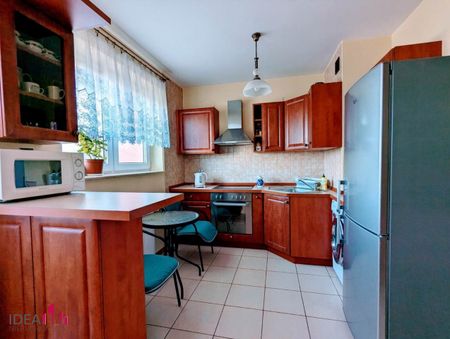 Płock, Zielony Jar - Zdjęcie 4