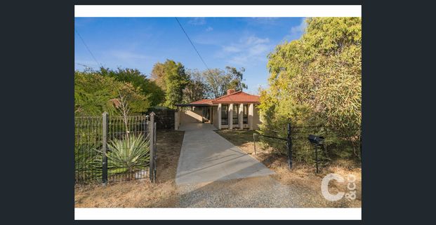 Neat & Tidy 3 x 1 home! - Photo 1