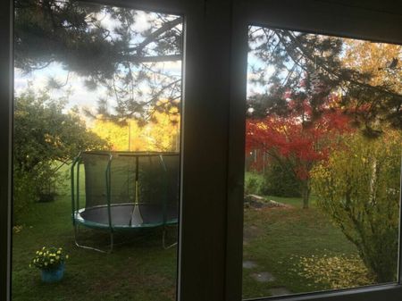 3.5 Zimmerwohnung im Hochparterre - Foto 3