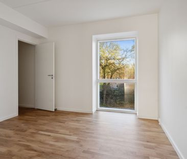 Hollænderen 6, 2. TV - Photo 6