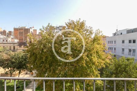 Piso de alquiler en Plaça D'herenni, Hostafrancs - Photo 4