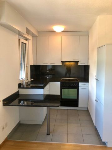 Ideale Wohnung für Singles und Pendler - Photo 4