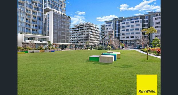 Spacious One Bedroom Apartment for Rent in Waterloo - Photo 1